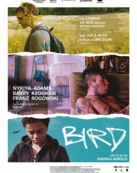 Bird